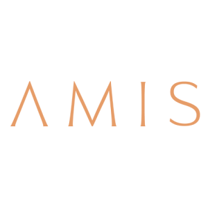 AMIS Properties logo
