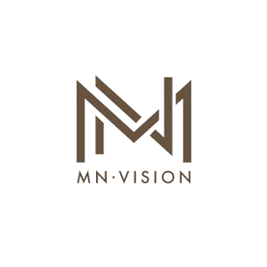 MN Vision Real Estate Development logo