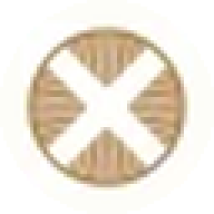 TownX logo