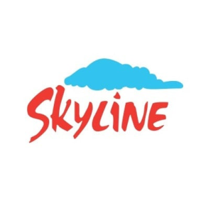 Skyline Builders logo