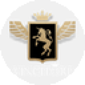 Vincitore Real Estate Development LLC logo