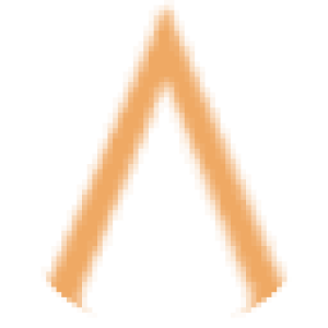 AMIS Properties logo