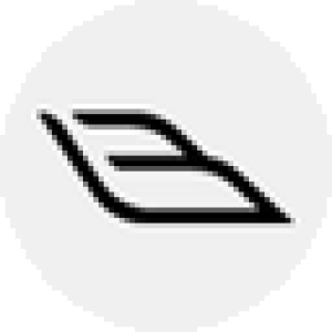 Binghatti logo