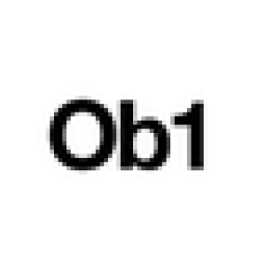 Object 1 logo
