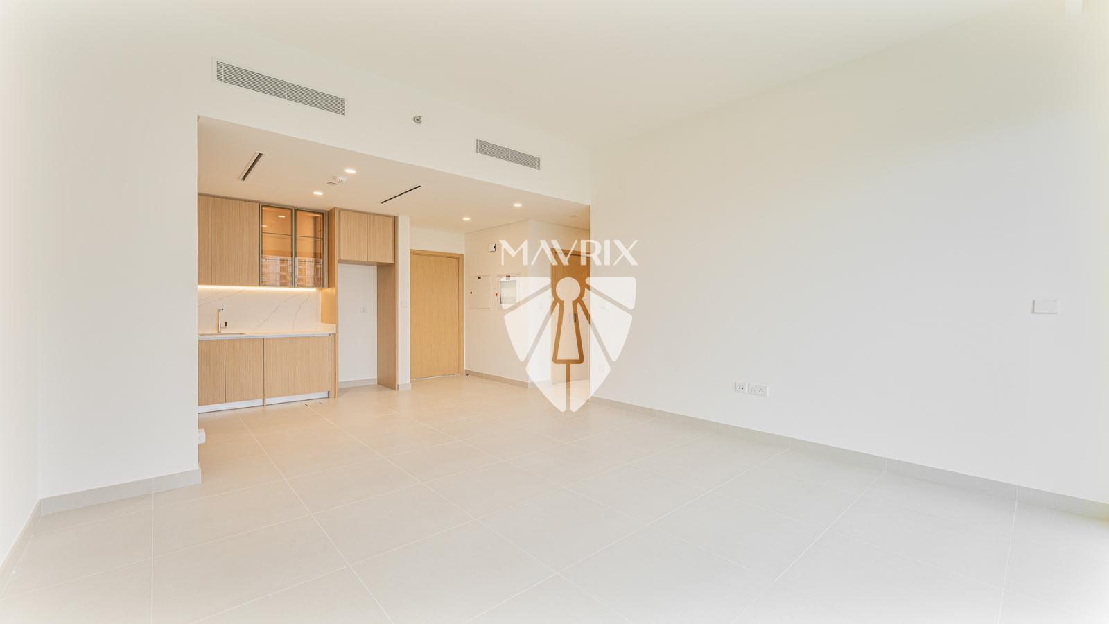 Dubai property gallery image
