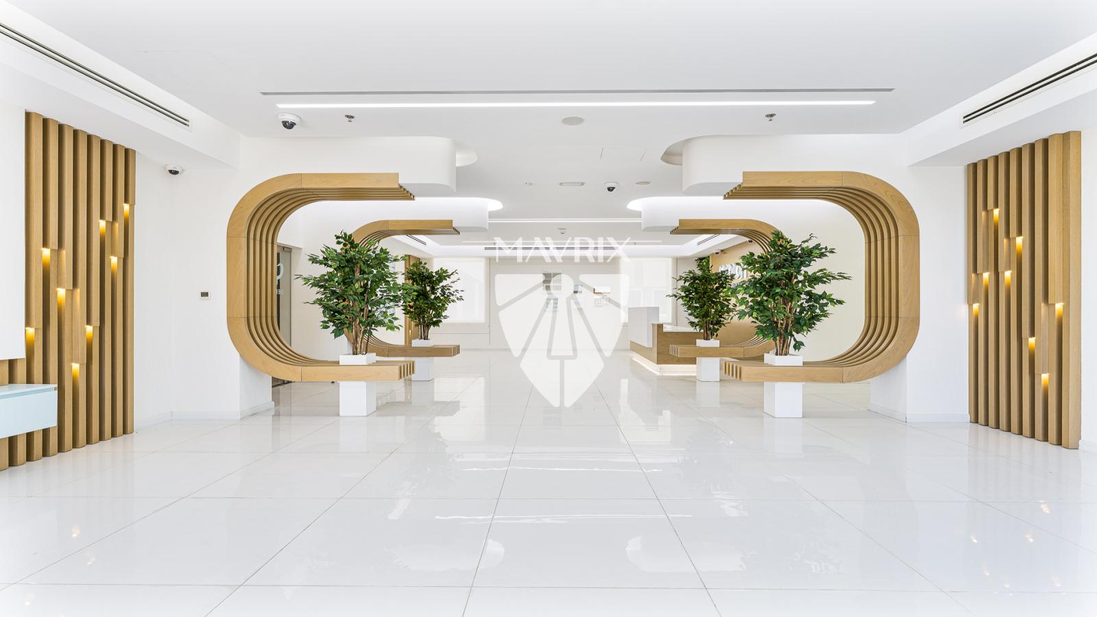 Dubai property gallery image