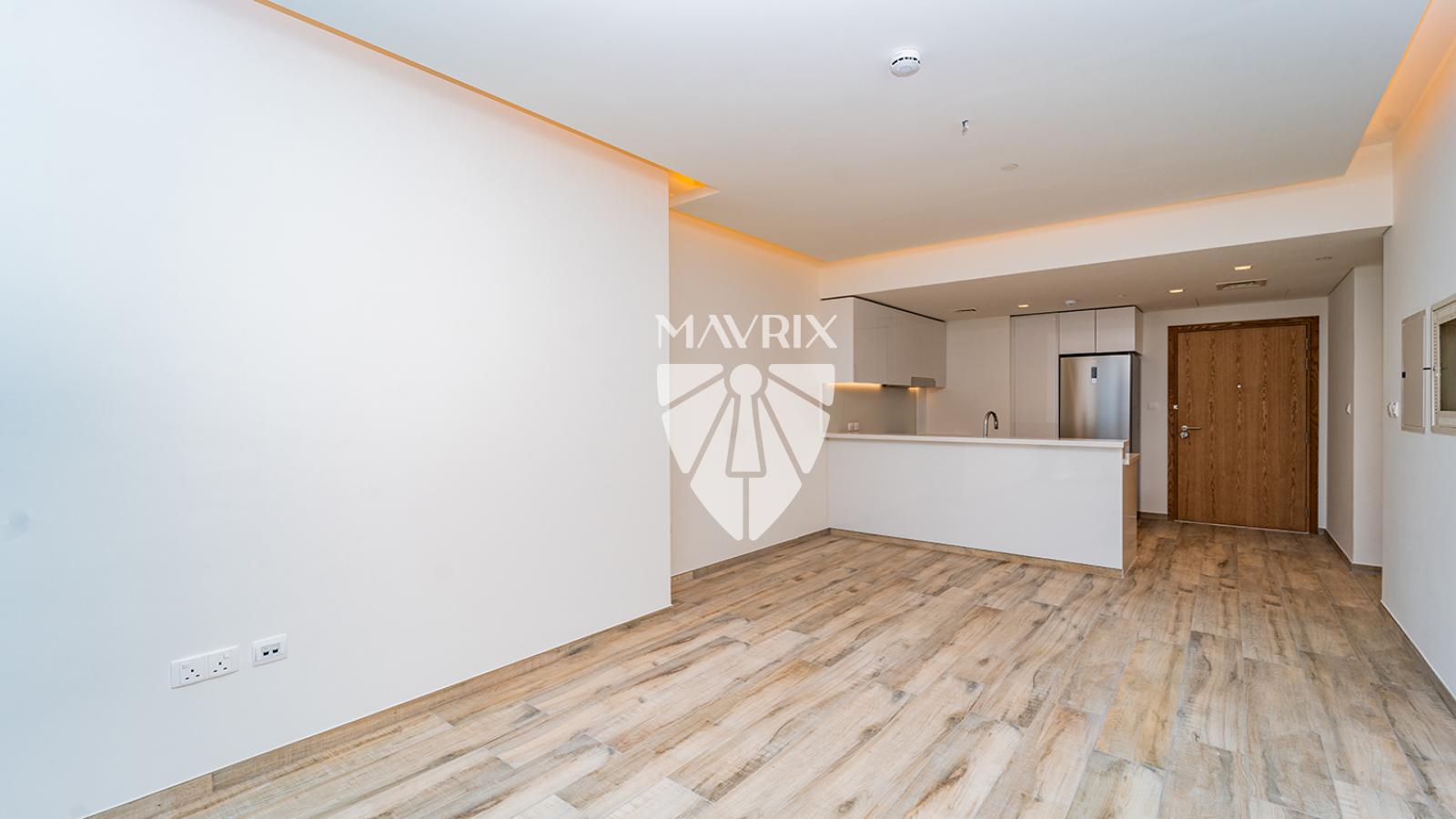 Dubai property gallery image