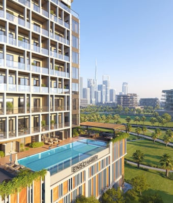 Amber by Enso thumbnail 7