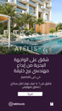 Atelis thumbnail 20