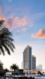 Avenue Park Towers thumbnail 24
