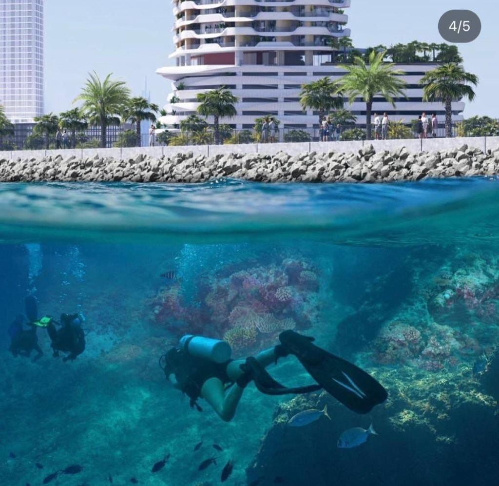 Coral Reef view 3