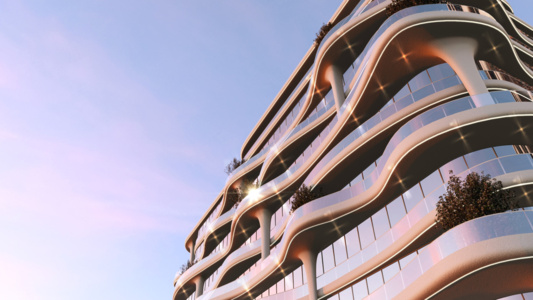 Coralis thumbnail 5