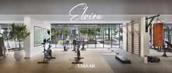 Elvira thumbnail 20