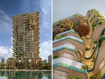 Eywa Tower thumbnail 13