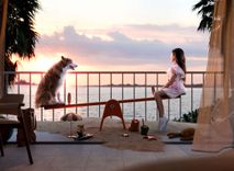Gardenia Bay thumbnail 23