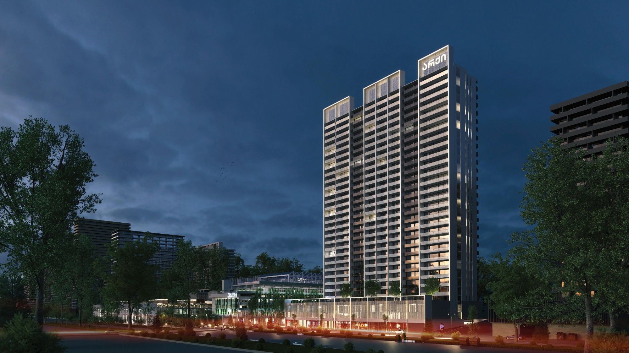 Grand Avenue Tbilisi view 2