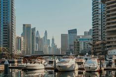 Marina Cove thumbnail 6
