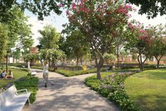 Nad Al Sheba Gardens thumbnail 19