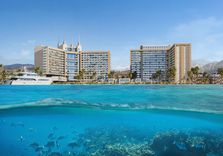 Oceana by Reportage thumbnail 8