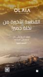 Olaia Residences The Palm thumbnail 20