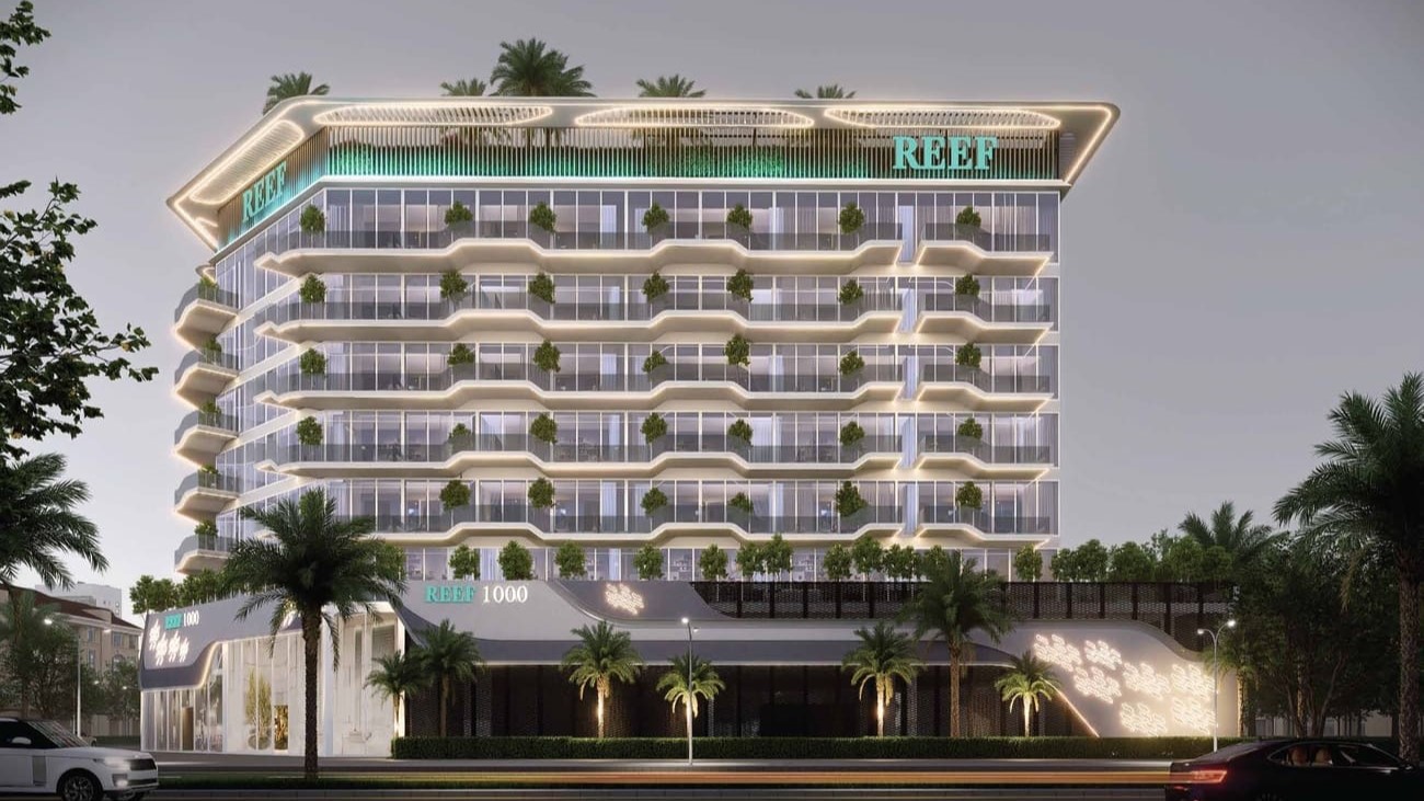 Reef 1000 thumbnail 5