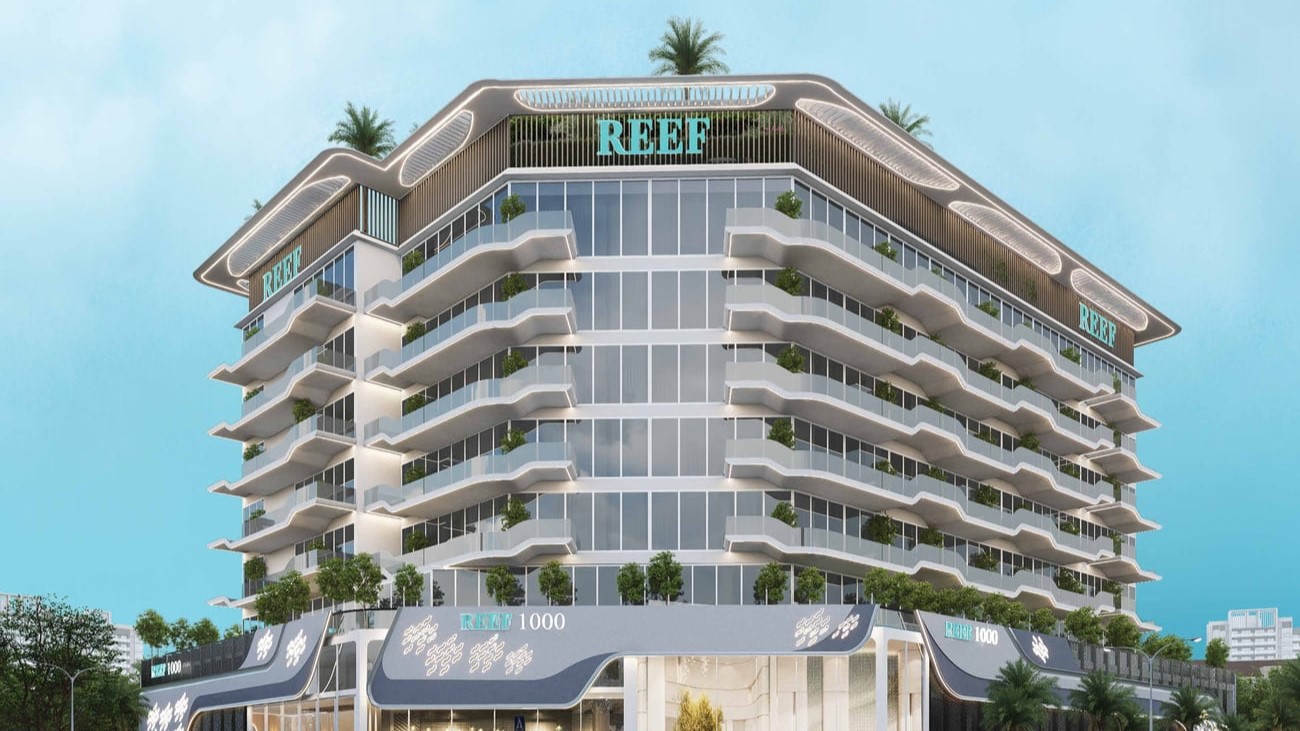 Reef 1000 thumbnail 8