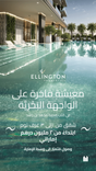 Riverton House thumbnail 16