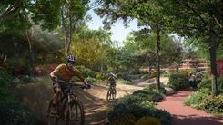 Serra at Ghaf Woods thumbnail 2