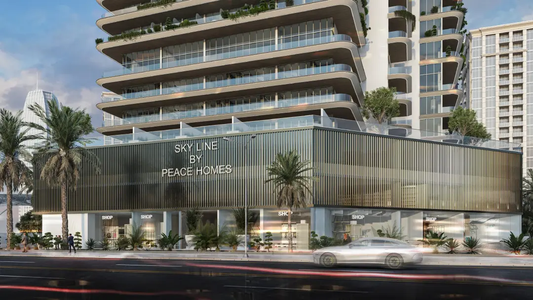 Sky Line by Peace Homes thumbnail 9