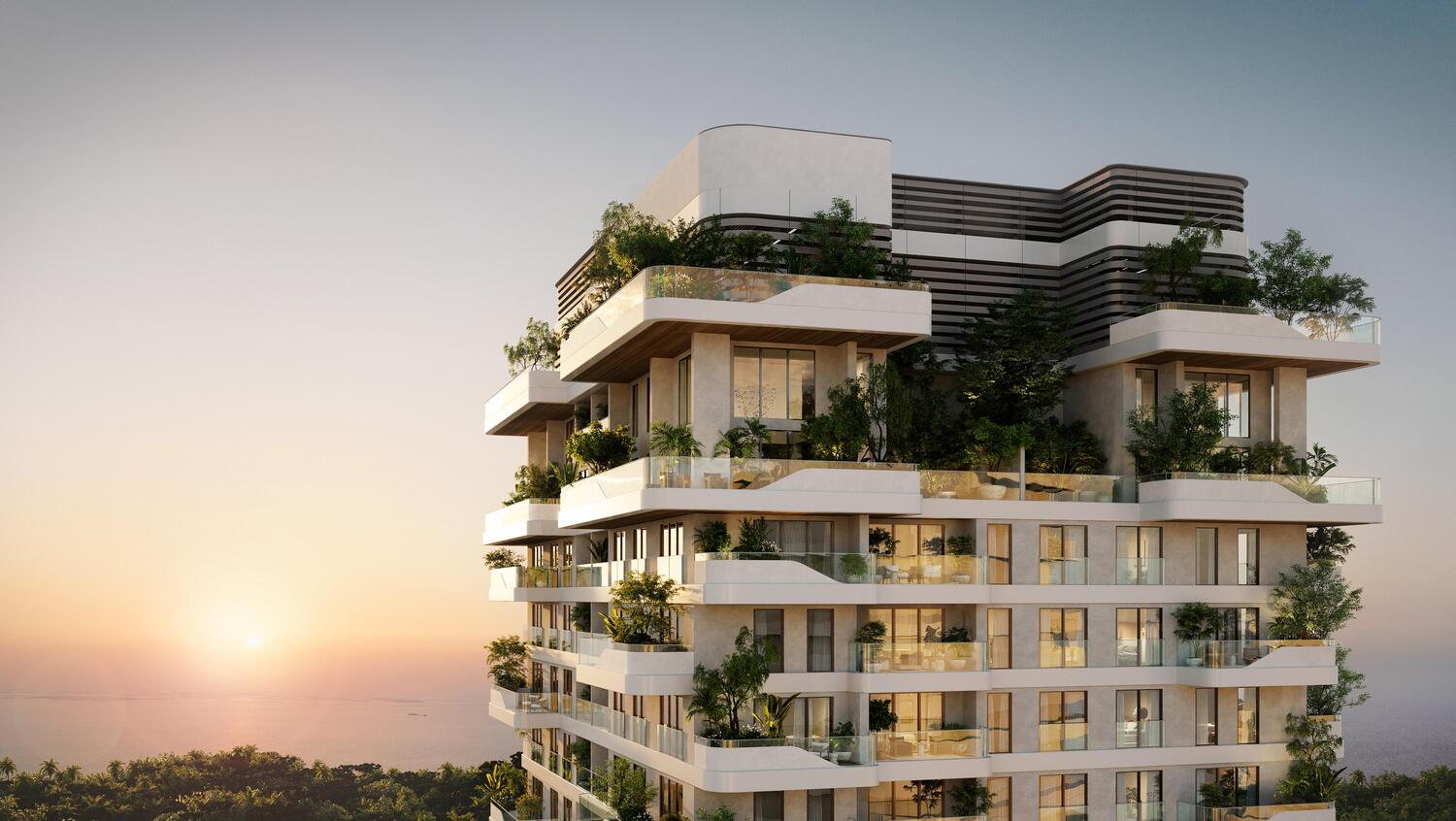 Talea main view