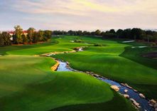 Terra Golf Collection thumbnail 12