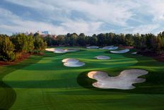 Terra Golf Collection thumbnail 10