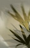 The Alba Residences thumbnail 34