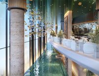 Tiger Sky Tower thumbnail 26