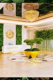 Vincitore Aqua Flora thumbnail 17
