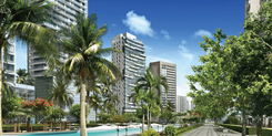 Wynwood Horizon thumbnail 33